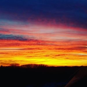 Meet your Posher, Trisha